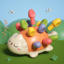 Brinquedo Educativo Sensorial